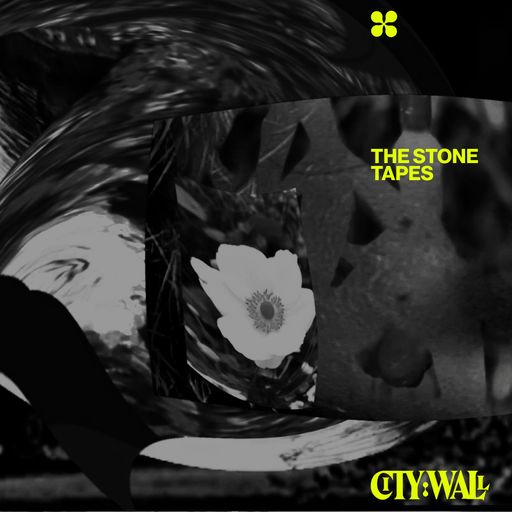 The Stone Tapes - January 2024