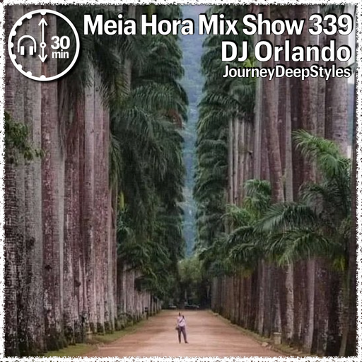 MHMS339 DJ Orlando - JourneyDeepStyles