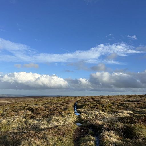 Thea HD - 2nd November 2025