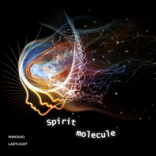 Synergy Vol 17 - Mind(UK) B2B LadyLight - Spirit Molecule
