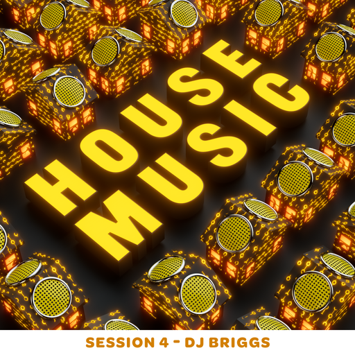 House Music Session 4 - Dj Briggs