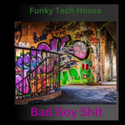 BAD Boy Shit Funky Tech House