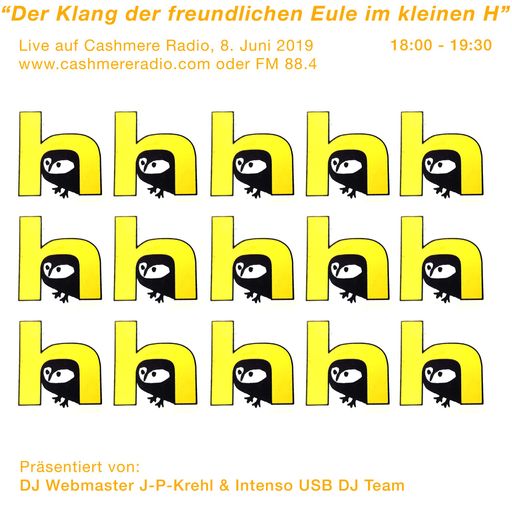 D.I.Y. Church Der Klang der freundlichen Eule im kleinen H 08.06.2019