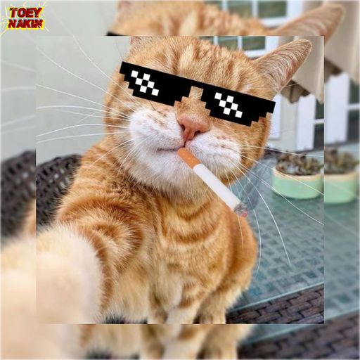 ไทยล้วนๆ