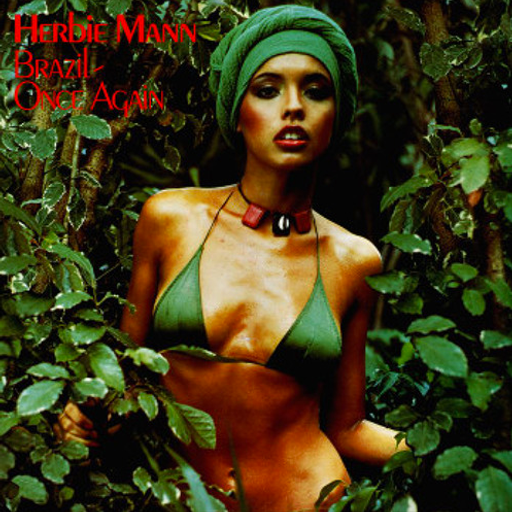 Mixtape - Bossa Nova Chillout Vinyl Mix