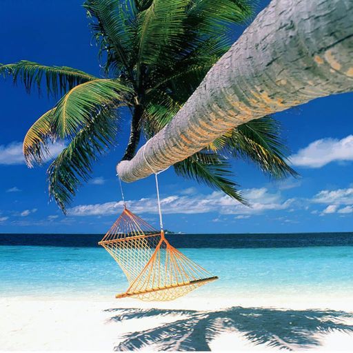 Live From The Lounger