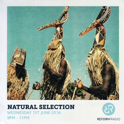 Natural Selection 1st June 2016
