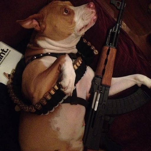 すべての死がどこかで生まれる場所を思い出してください。