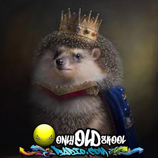 DJ Hedgehog - The Spare  - Saturday 6th May 2023 - OnlyOldSkoolRadio.com