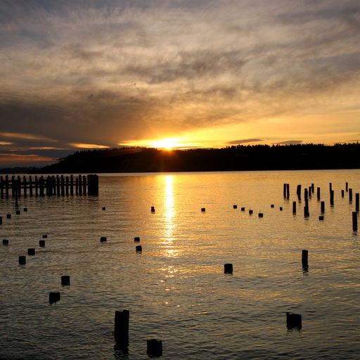 Quietmusic - November 30 (Hour 2 excerpt)