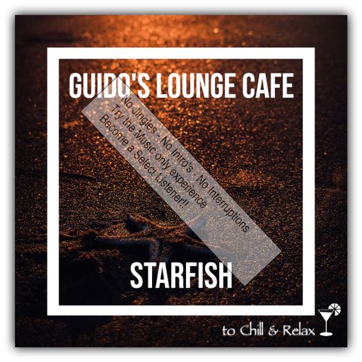 Guido’s Lounge Cafe 037 Starfish(select)