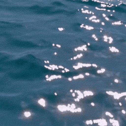 Cryptomnesia #45 An Episode Dedicated to the Ocean and her Sweet Murmururs 02.05.2021