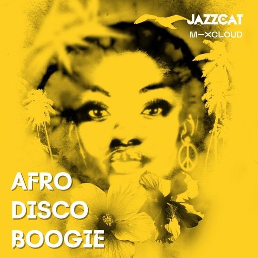 Afro disco boogie