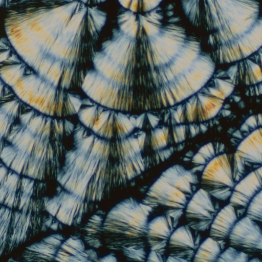 Circle Packing w/ Occo - 4th November 2025