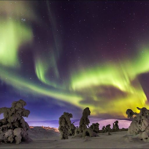 Aurorae