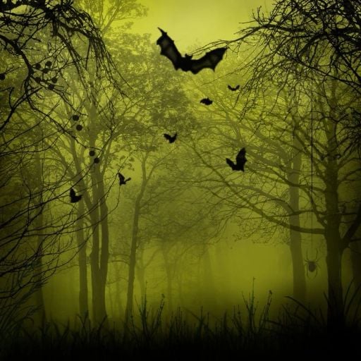 Spooky