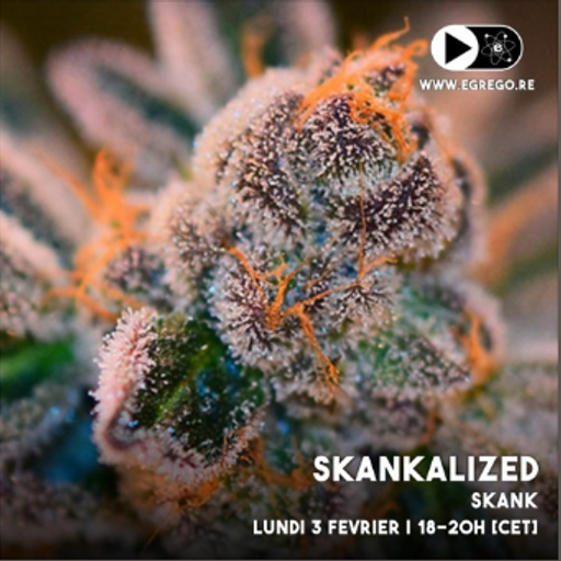 Skankalized 04