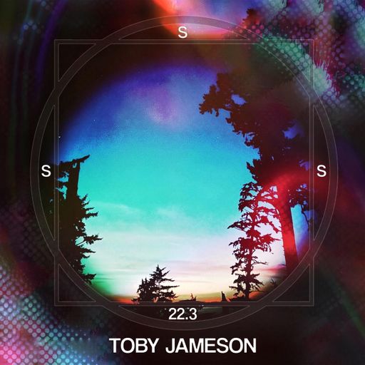 SSS #22.3 TOBY JAMESON "Alley Classics: Spot It At The Multicolor Store"