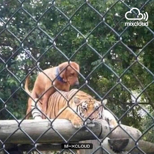 ข้างหลังนู๋จะมีพี่เสมอ 666 ʙʏ ฮิป