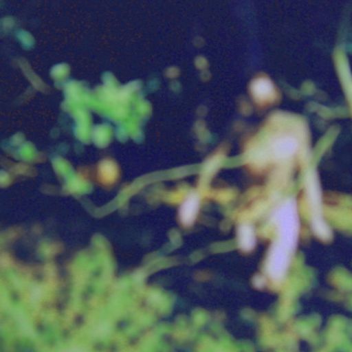 Sunday Joint: Tino Feucht - Sunday Feucht