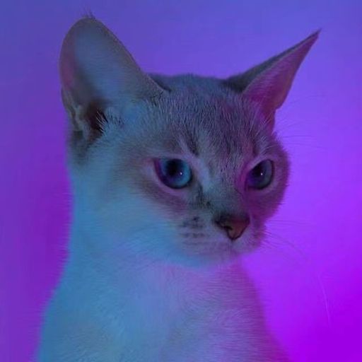 JASON 专属 V3 【追x风夜行x一分一寸x我会等x生分x诀爱x嚣张】DJ HOLLEND REMIX