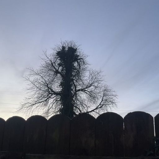 The Slip - 14th December 2025