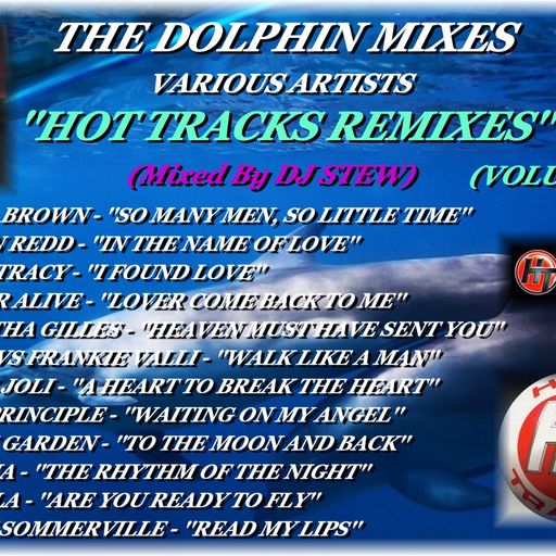 THE DOLPHIN MIXES - VARIOUS ARTISTS - ''HOT TRACKS REMIXES'' (VOLUME 26)