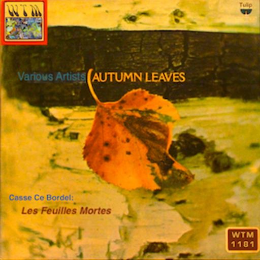 Wreck Autumn Leaves 1181