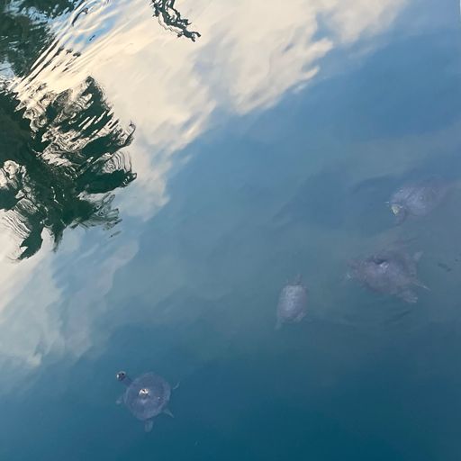 Cool Out Corner w/ Karla Reyes - 06/04/25