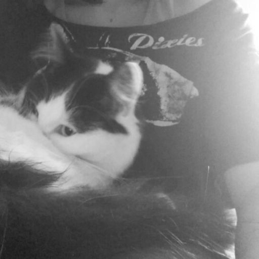 CORPOREAL - ANIMALS #2 with Roxie and Eve (29/04/2018)