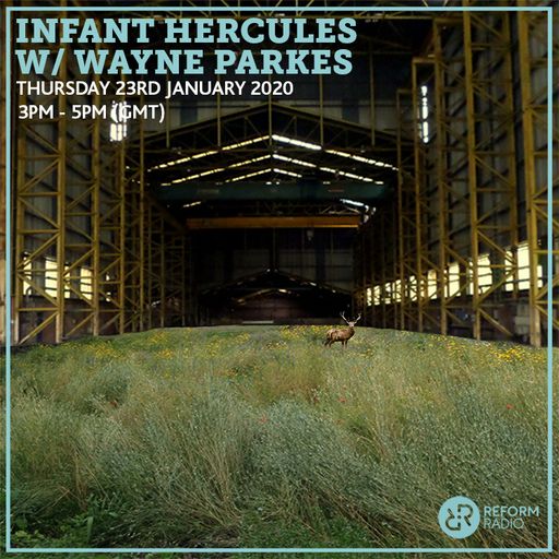 Infant Hercules w/ Wayne Parkes 23rd January 2020