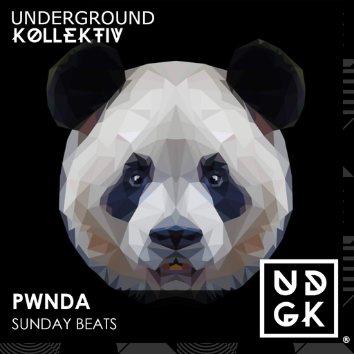 pwnda - pwnda - Sunday Beats - Joe Wink and Dr Mike join me  (UDGK: 22/01/2023)