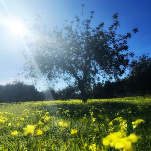 La Captura del Sonido Radio Show 22 – Daniel Peñacoba