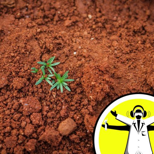 Microbes: From Farm to Fork
