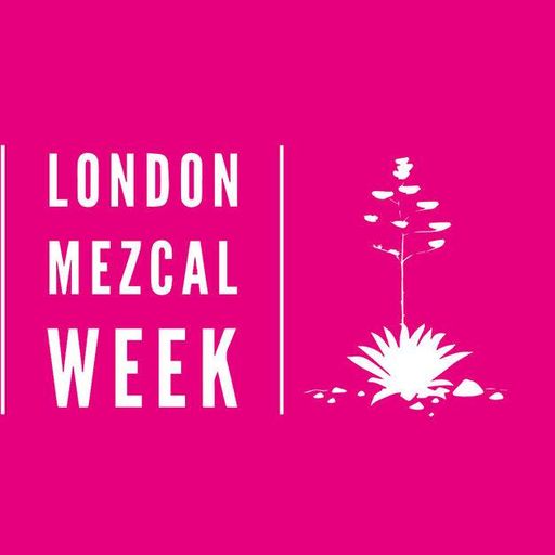 Discover Weekly x Mezcal Week