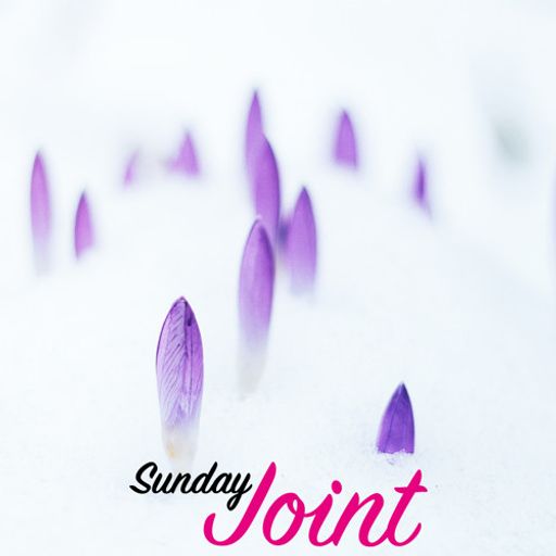 DJ Epish & Selector Spurlos - Fight Against The Winter (Sunday Joint)