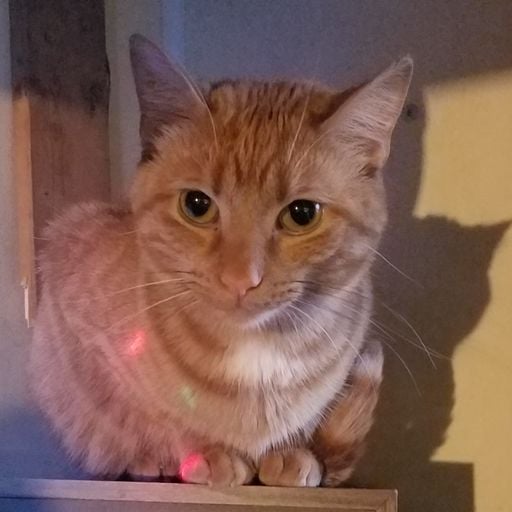 Voyages with Brother love December 16 live from the Lair