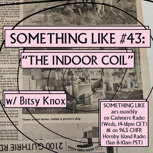 Something Like #43: The Indoor Coil w/ Bitsy Knox 13.04.2022