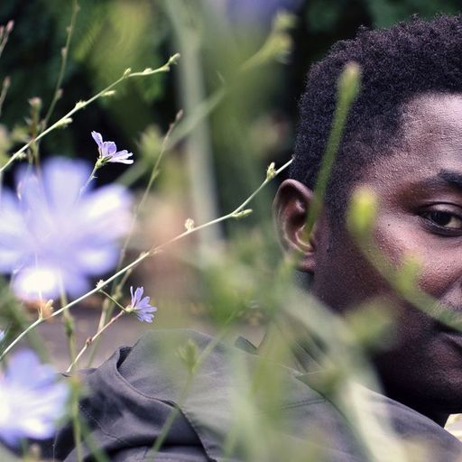 Lamin Fofana - Nina’s Choice - 9th July 2025