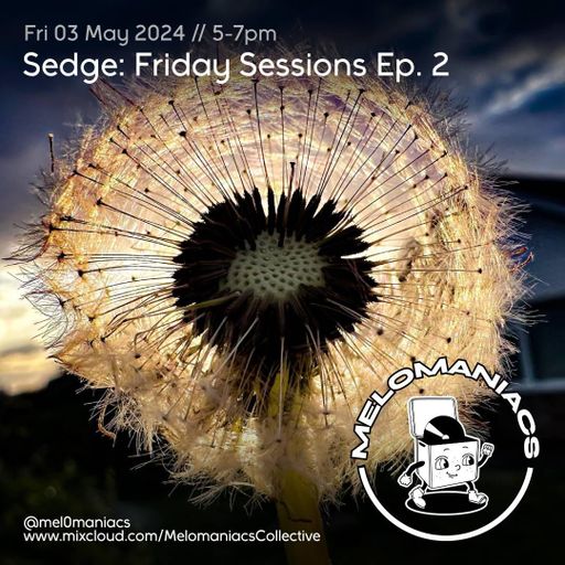 Sedge // Friday Night Sessions Vol 2 // 3rd May 2024