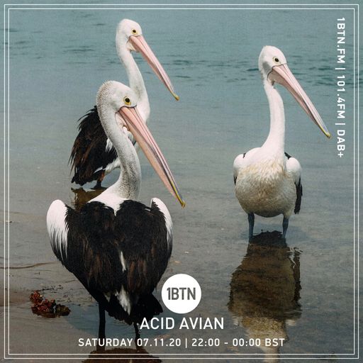 Acid Avian - 07.11.2020