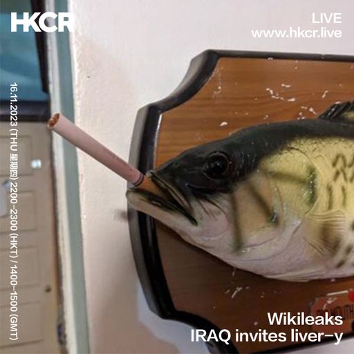 Wikileaks: IRAQ invites liver-y - 16/11/2023