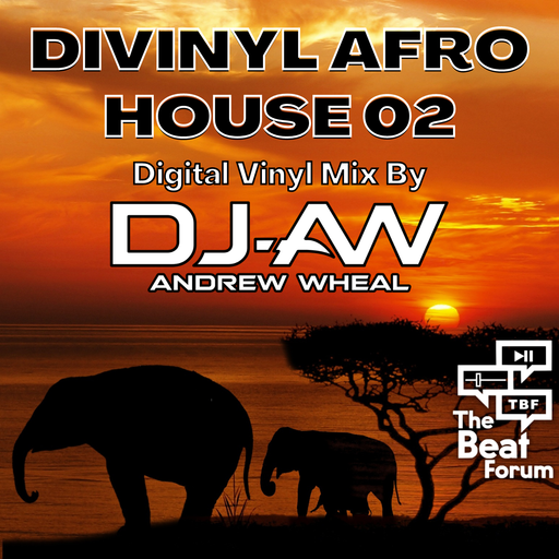 Divinyl Afro House 02 By DJ-AW
