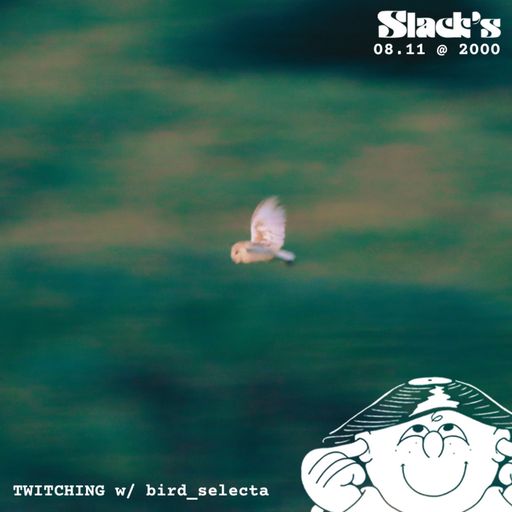 TWITCHING w. Bird Selecta - November 2024