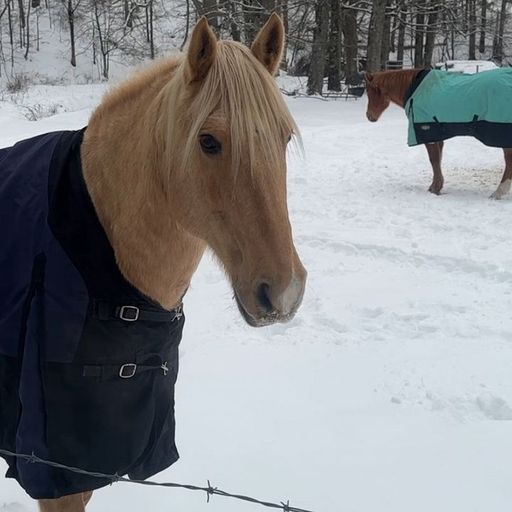 Getting Warmer w/ Jen Monroe - 14th January 2026