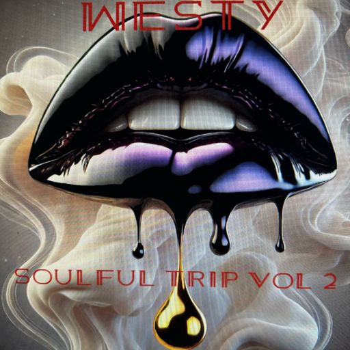 the soulful trip vol 2