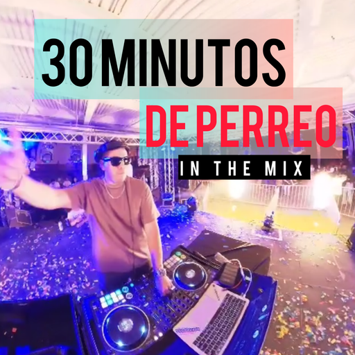 30 MINUTOS DE PERREO IN THE MIX