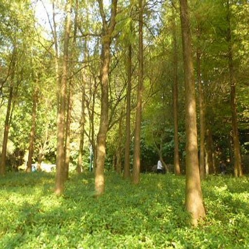 The Early Bird Show w/ Bitter Babe - 4th November 2025