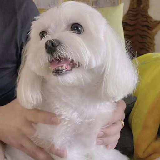 DJ'YE《Dior大穎 - 愛自己更深 X 莫叫姐姐 - 下輩子不一定還能遇見你 X 白小白 - 愛不得忘不捨》Rmx 2x21 Private Mixtape Just For KCJUNN