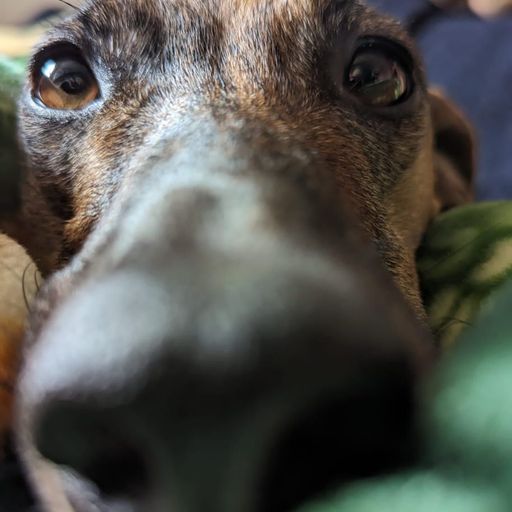 Euphuckria_LQG Slack's party warmup April 2025 w. Hornmaster5000 (HM5K) - April 2025